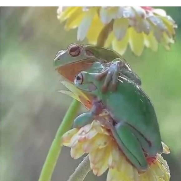 LIKE THIS LISTING TO BE NOTIFIED WHEN I GO LIVE - Picture 5 of 15